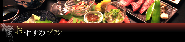おすすめプラン